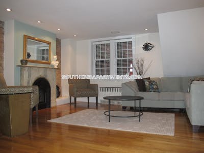 South End Fully furnished, luxury, 1 bed apt in the South End  Boston - $4,000