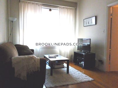 Brookline Apartment for rent 2 Bedrooms 1 Bath  Washington Square - $2,600