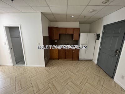 Chinatown Incredible 2 Beds 1 Bath on Kneeland St Boston - $3,200