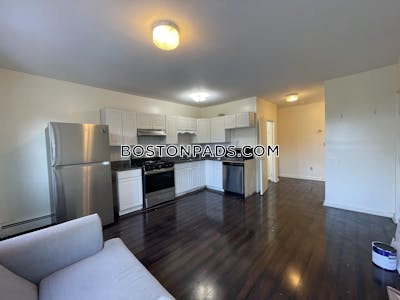 Mission Hill Open & Modern 3 Bed 1 Bath on Tremont St in Mission Hill Boston - $4,350