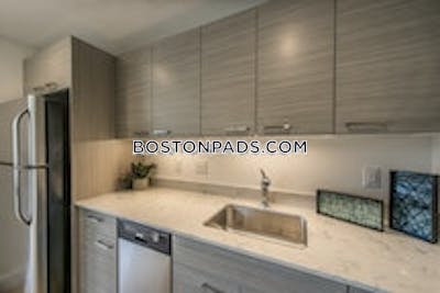 Allston 2 Bed, 2 Bath Unit Boston - $3,000 No Fee