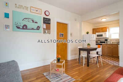 Allston Apartment for rent Studio 1 Bath Boston - $1,975