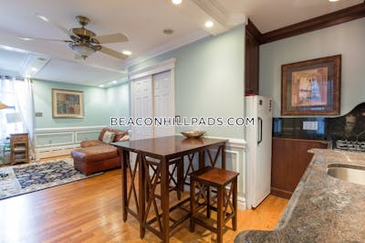 Beacon Hill Stunning Studio Apartment on West Cedar St. in Beacon Hill Boston - $3,200