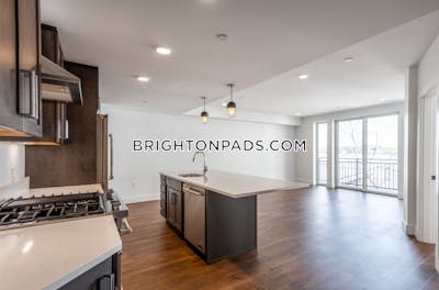 Brighton Apartment for rent 1 Bedroom 1 Bath Boston - $3,100