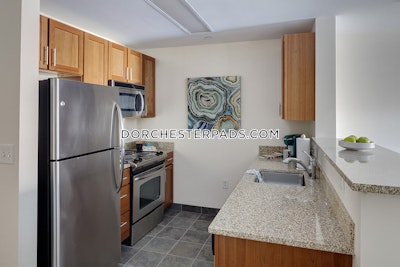 Dorchester Apartment for rent Studio 1 Bath Boston - $5,100 No Fee