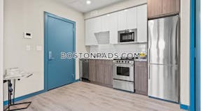 Dorchester/south Boston Border Apartment for rent 1 Bedroom 1 Bath Boston - $2,700