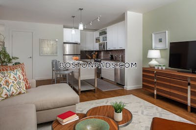 Downtown Apartment for rent 1 Bedroom 1 Bath Boston - $4,039