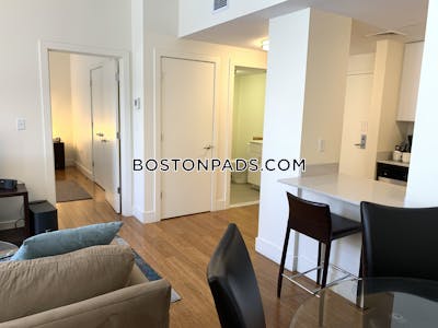 Downtown 1 Bed 1 Bath Boston - $3,200