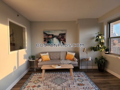 Downtown Luxury 1 bed 1 bath available NOW on Tremont St in Boston!! Boston - $3,500