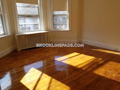 Brookline Apartment for rent 1 Bedroom 1 Bath  Boston University - $3,100