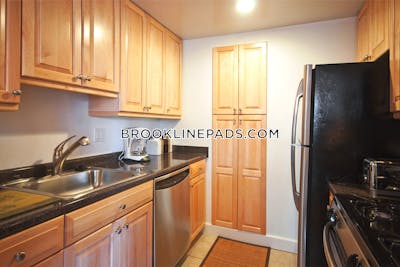 Brookline Apartment for rent 2 Bedrooms 1.5 Baths  Chestnut Hill - $3,720 No Fee