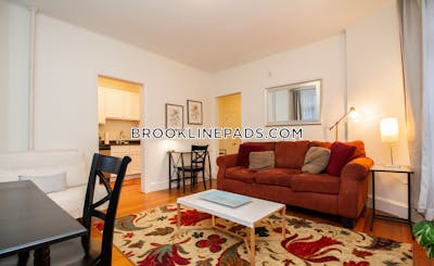 Brookline Apartment for rent 1 Bedroom 1 Bath  Cleveland Circle - $3,800