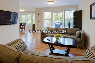 Cambridge Apartment for rent 1 Bedroom 1 Bath  Mt. Auburn/brattle/ Fresh Pond - $3,350 No Fee