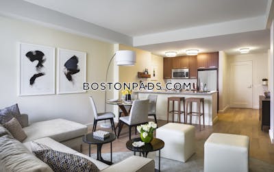 Downtown Apartment for rent 1 Bedroom 1 Bath Boston - $4,295