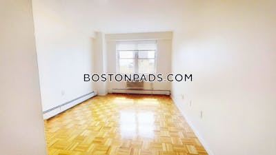 Brookline Apartment for rent 1 Bedroom 1 Bath  Boston University - $3,100 No Fee