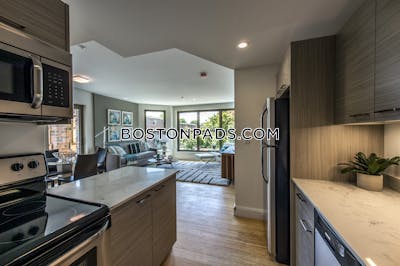 Allston Apartment for rent 2 Bedrooms 2 Baths Boston - $4,250