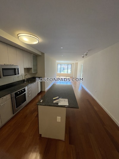 West End Apartment for rent 1 Bedroom 1 Bath Boston - $3,335