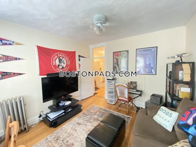 Brighton Apartment for rent 1 Bedroom 1 Bath Boston - $2,250