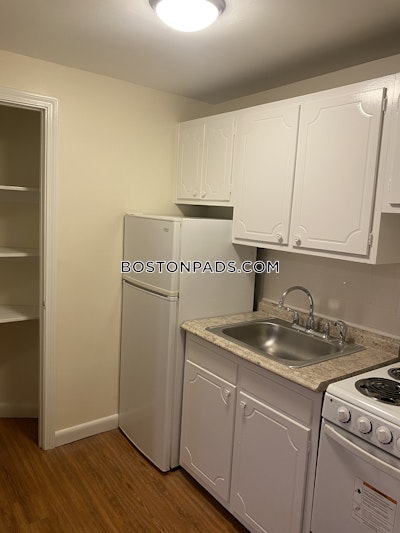 Allston/brighton Border Apartment for rent 1 Bedroom 1 Bath Boston - $2,000 No Fee