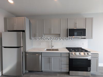 Brighton Apartment for rent 1 Bedroom 1 Bath Boston - $3,450 No Fee