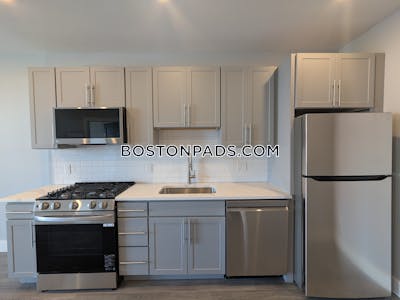 Brighton Apartment for rent 1 Bedroom 1 Bath Boston - $3,250 No Fee