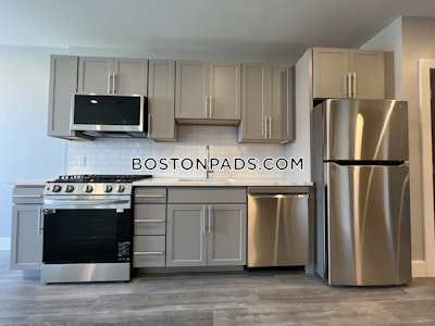 Brighton Apartment for rent 1 Bedroom 1 Bath Boston - $3,450 No Fee