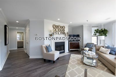 Back Bay 2 bedroom  baths Luxury in BOSTON Boston - $6,493