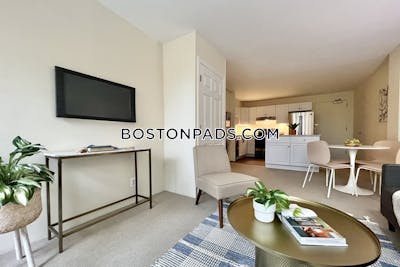 Cambridge Apartment for rent 1 Bedroom 1 Bath  Harvard Square - $2,900