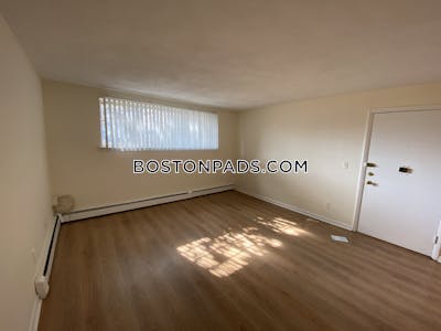 Allston Apartment for rent 2 Bedrooms 1 Bath Boston - $3,000 No Fee