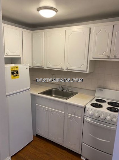 Allston/brighton Border Apartment for rent 1 Bedroom 1 Bath Boston - $2,200 No Fee